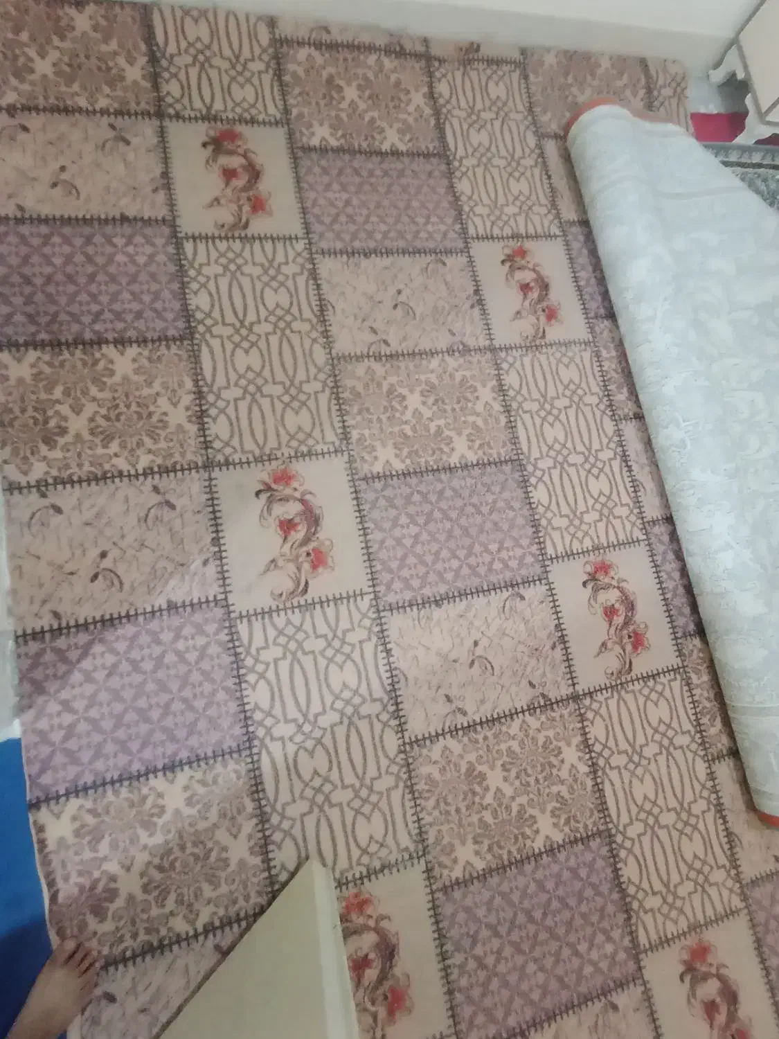 موکت و گلیم فرش|موکت|زابل, |دیوار