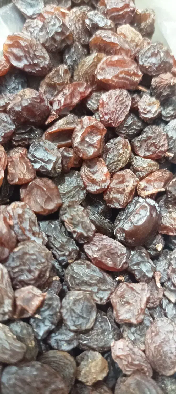 کشمش  تاکستان درجه یک تمیز گوشتی خوشمزه|خوردنی و آشامیدنی|قم, زنبیل آباد|دیوار