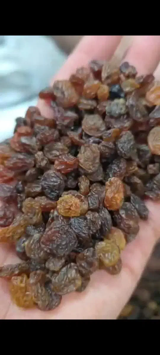 کشمش اقتصادی|خوردنی و آشامیدنی|اهواز, کیانشهر|دیوار