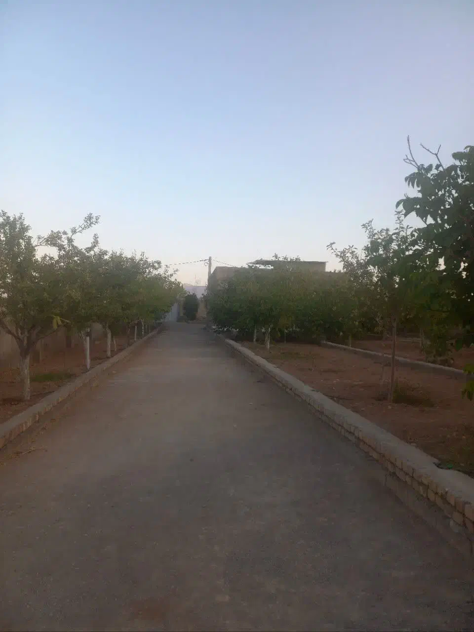 فروش باغ ویلا در روستای عضدیه شازند|فروش خانه و ویلا|شازند, |دیوار