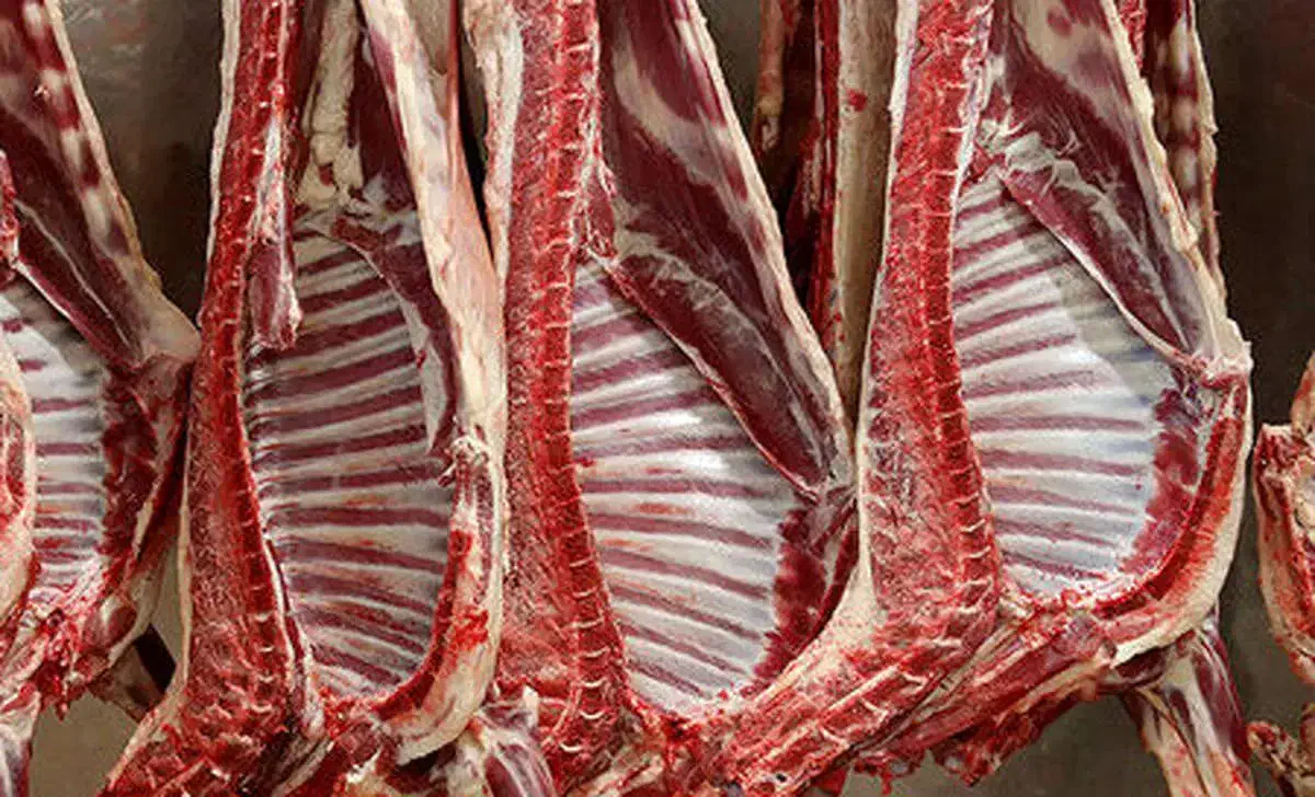 حراج گوسفند|حراج|قزوین, |دیوار