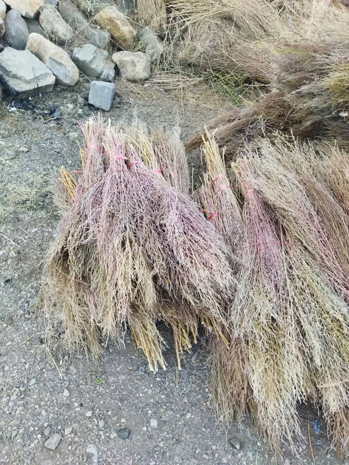 جارو نظافت|لوازم نظافت|روانسر, |دیوار