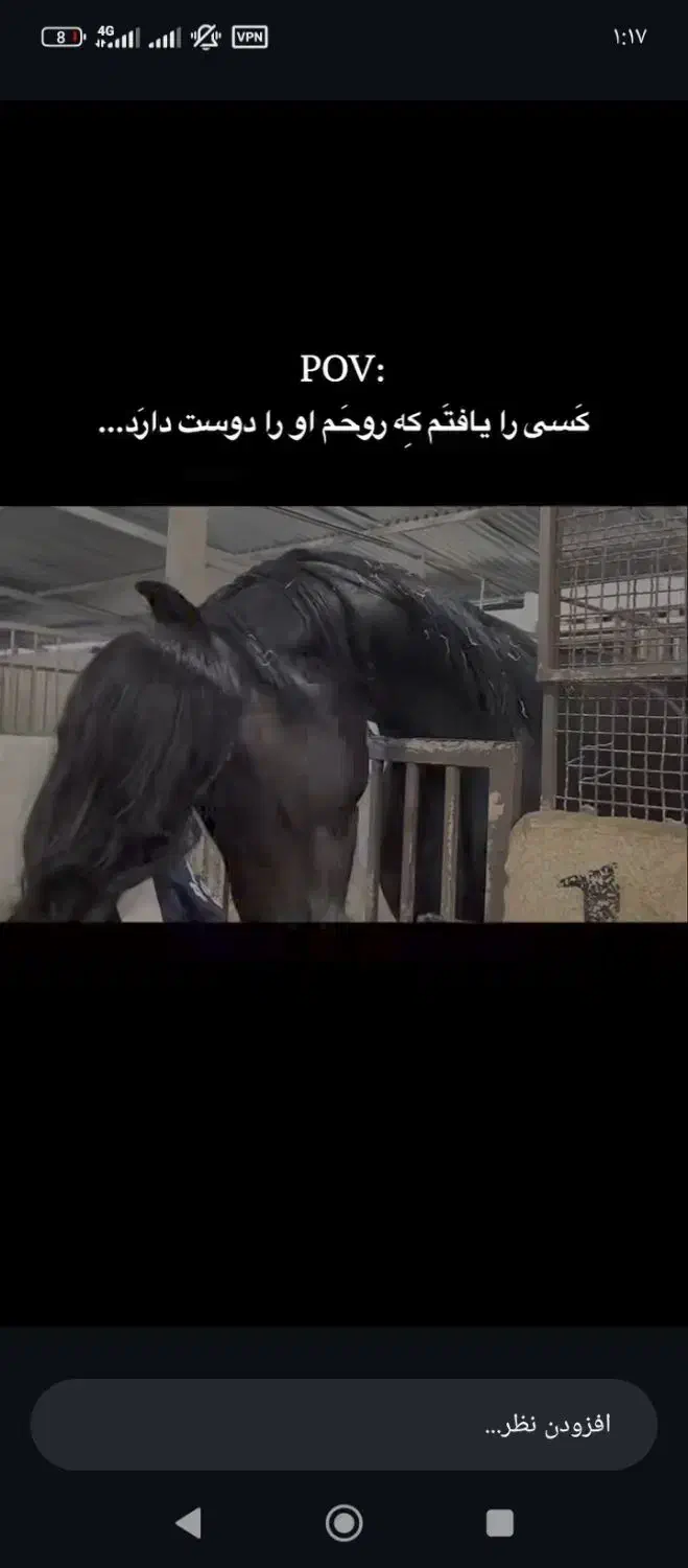 اسب|اسب و تجهیزات اسب‌سواری|اردبیل, |دیوار