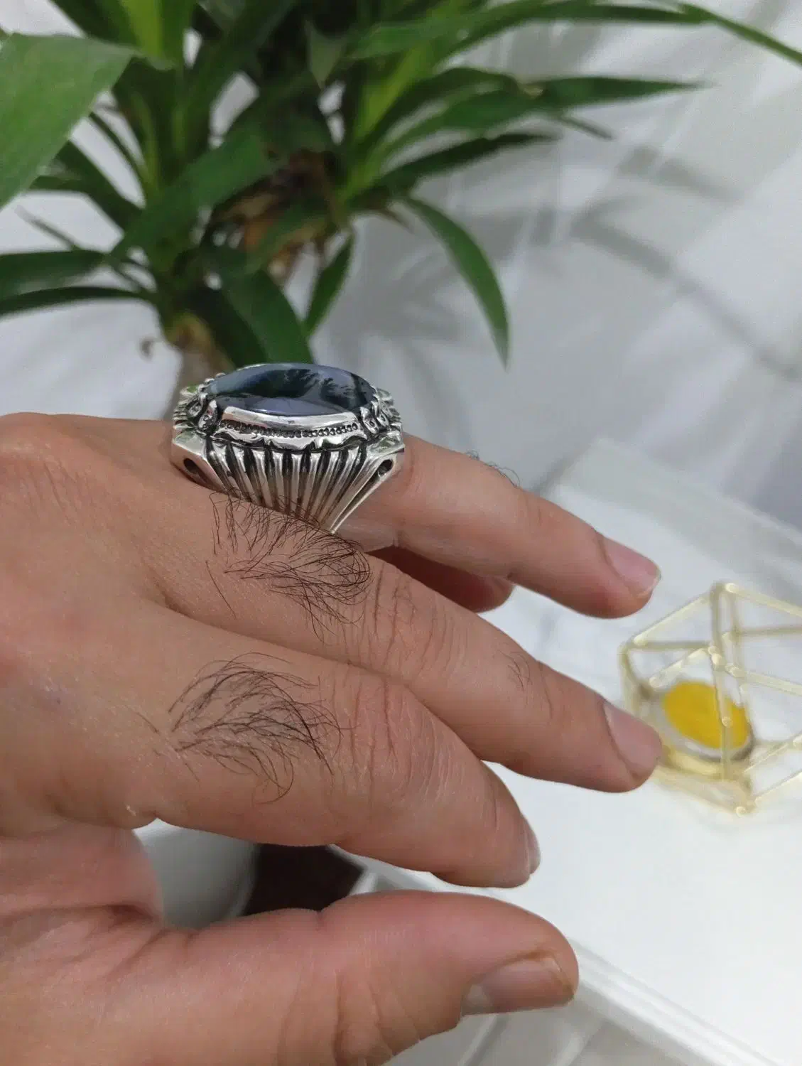 انشگتر شجر|بدلیجات|دیواندره, |دیوار