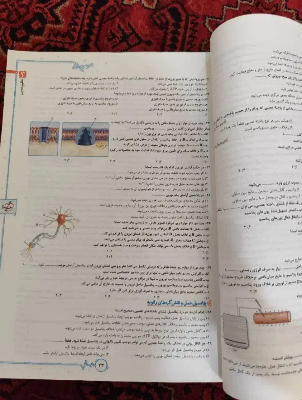 زیست یازدهم خیلی سبز|کتاب و مجله آموزشی|کرمانشاه, |دیوار