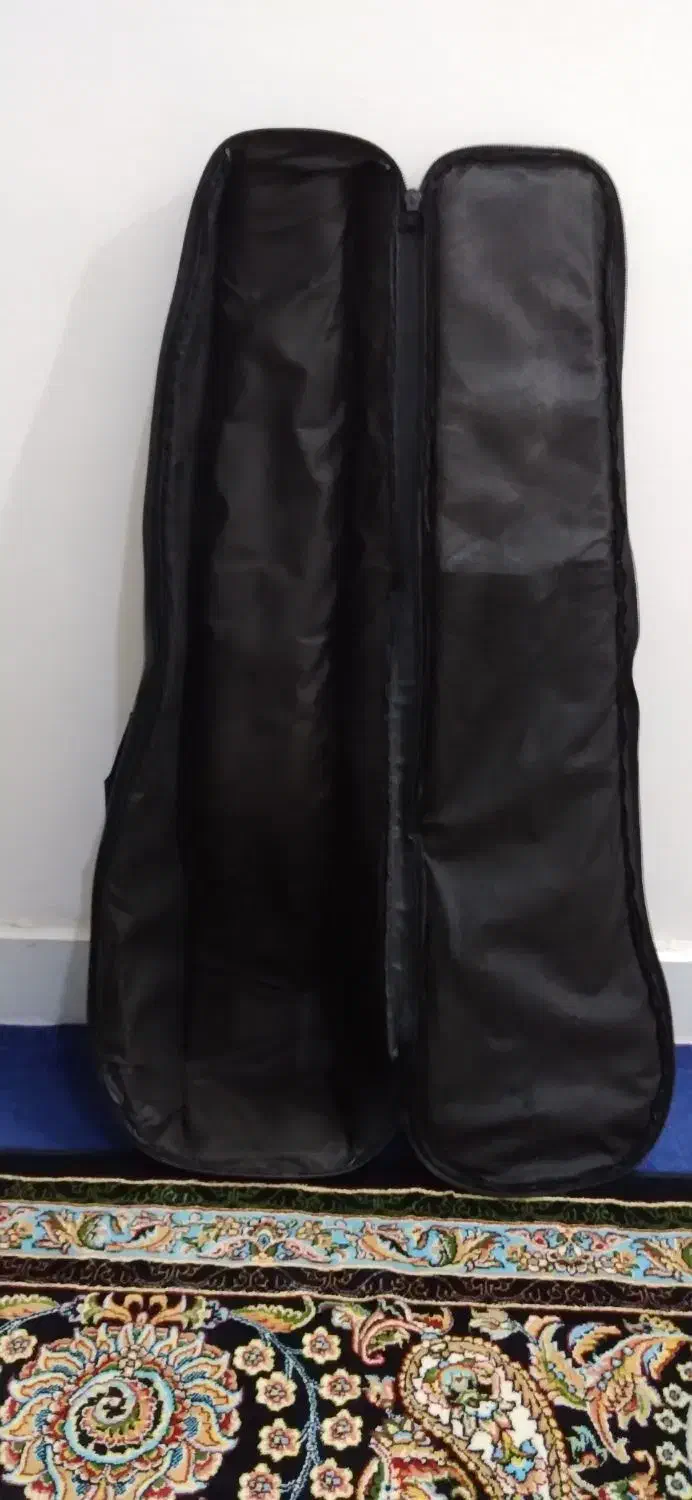 کیف کمانچه|سازهای سنتی|دزفول, |دیوار