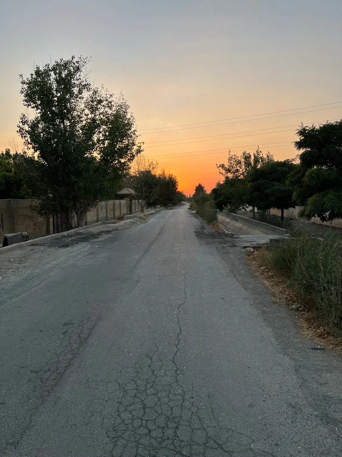 زمین باغی . چهار دیواری . خیابان اقاقیا ۲ ماهدشت|فروش زمین و ملک کلنگی|محمدشهر, محمدشهر|دیوار