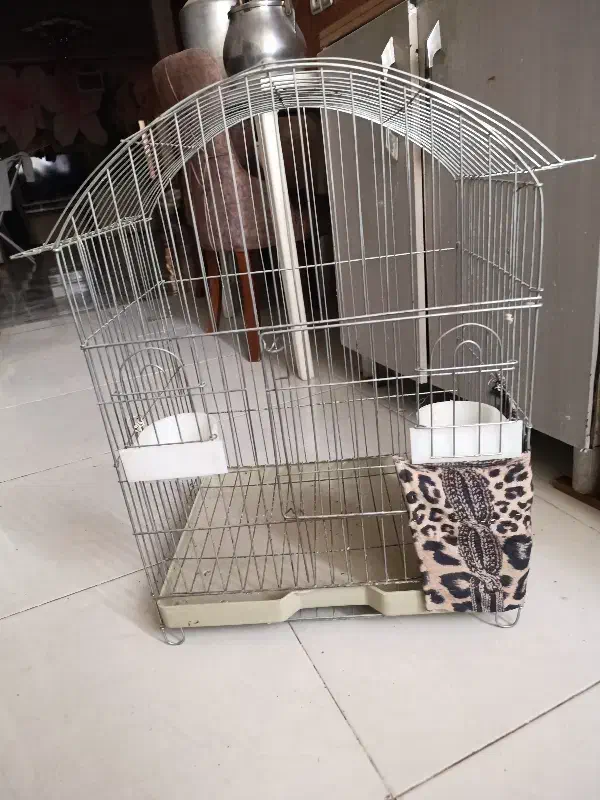 قفس پرنده سالم|لوازم جانبی حیوانات|رباط‌کریم, نصیرشهر|دیوار