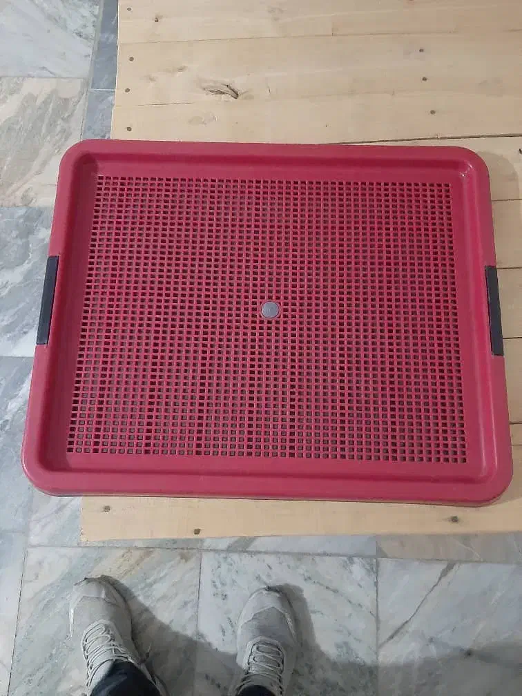 سینی ادرار حیوانات|لوازم جانبی حیوانات|دلیجان, |دیوار