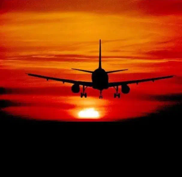 فروش انلاین سایت پرواز|تور و چارتر|کیش, |دیوار