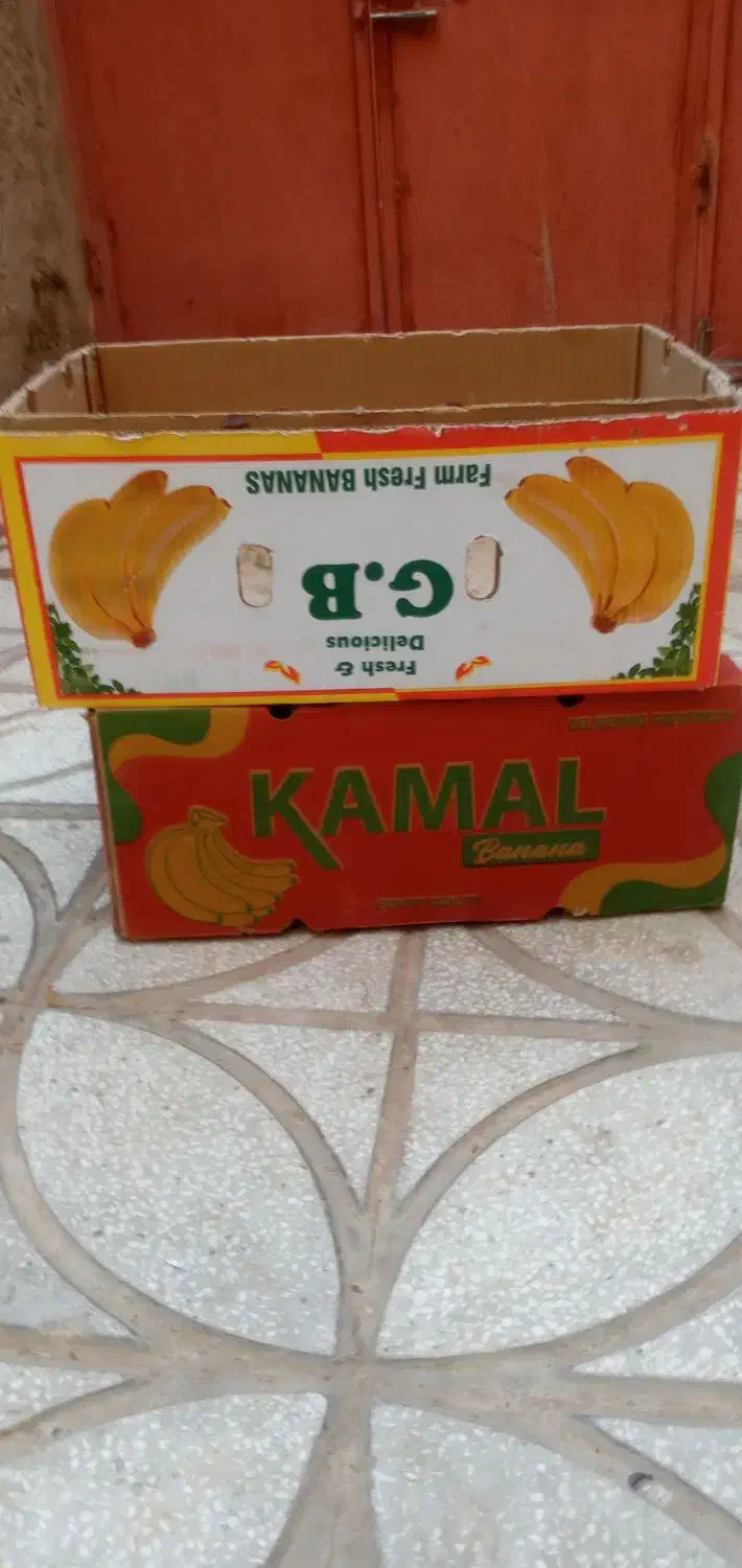 کارتونه موزی تازه|عمده‌فروشی|اسفراین, |دیوار