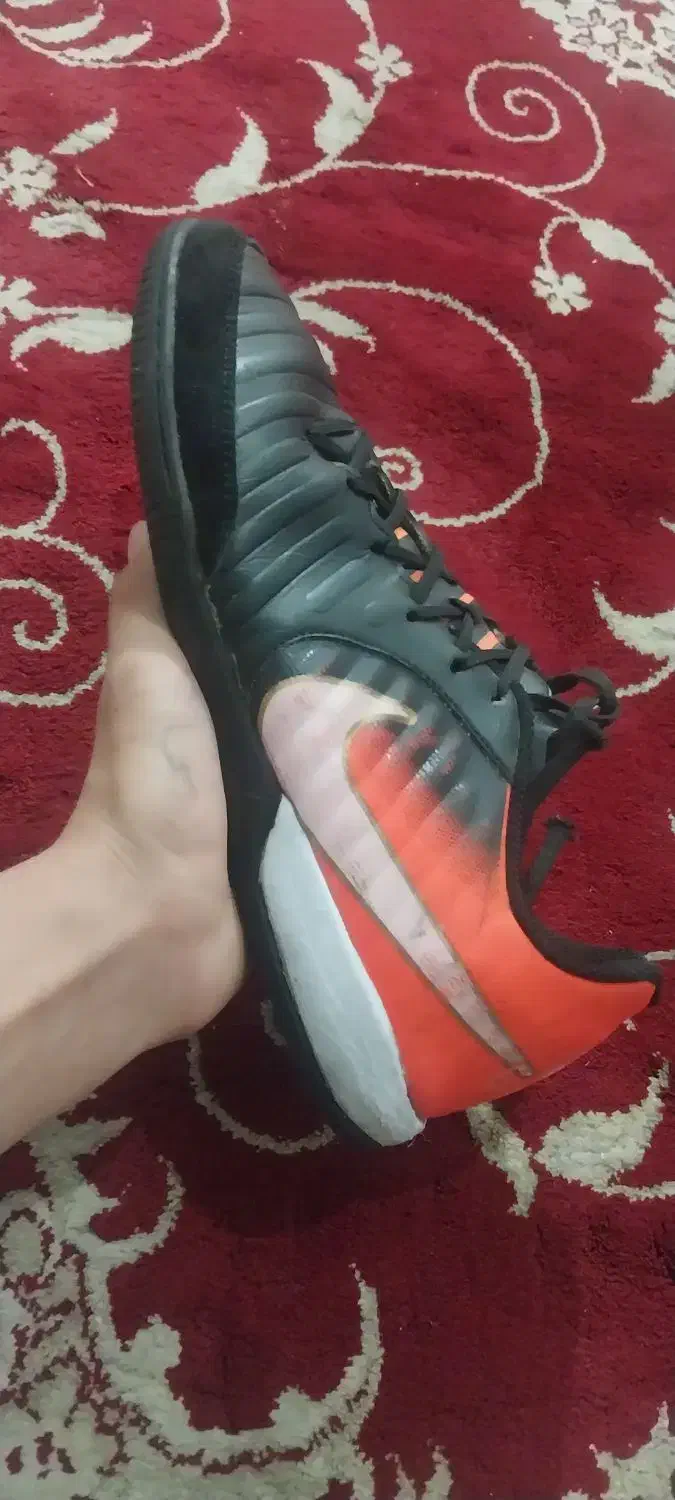 کفش سالنی|کیف، کفش، کمربند|تبریز, |دیوار