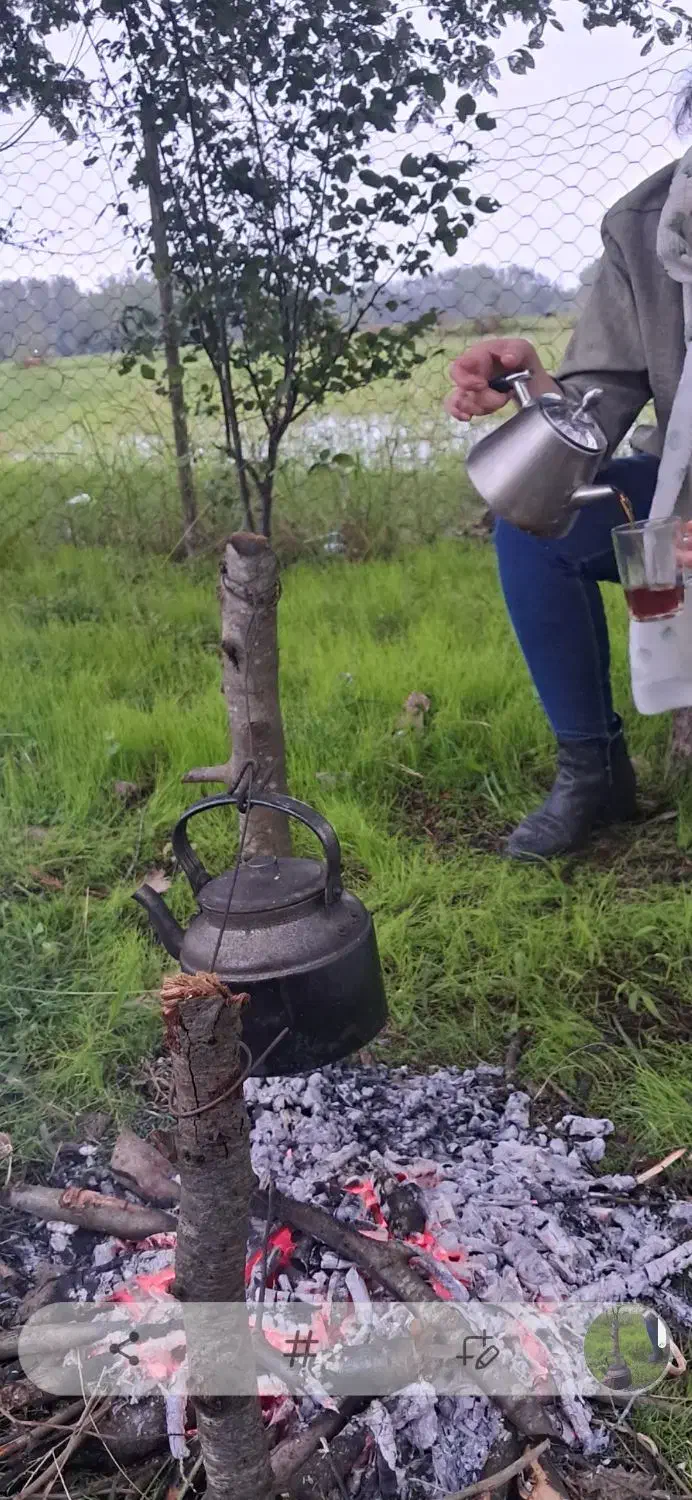 باغ ویلای لوکس جنگلی 1500 متری با تمام امکانات|اجارهٔ کوتاه‌مدت ویلا و باغ|کوچصفهان, |دیوار