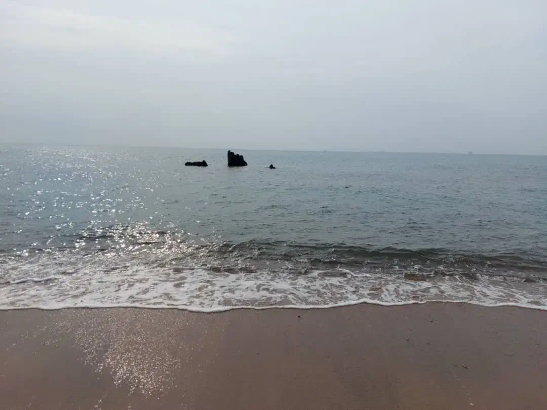 تورشادگروهی قشم|تور و چارتر|قم, پردیسان|دیوار