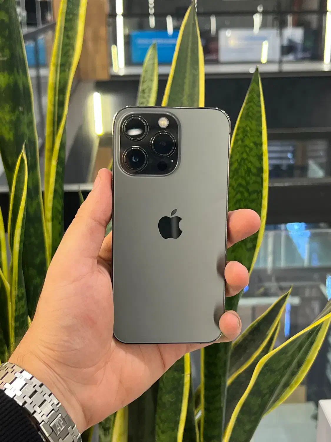 اپل ۱۳پرو|موبایل|رشت, چله خانه|دیوار