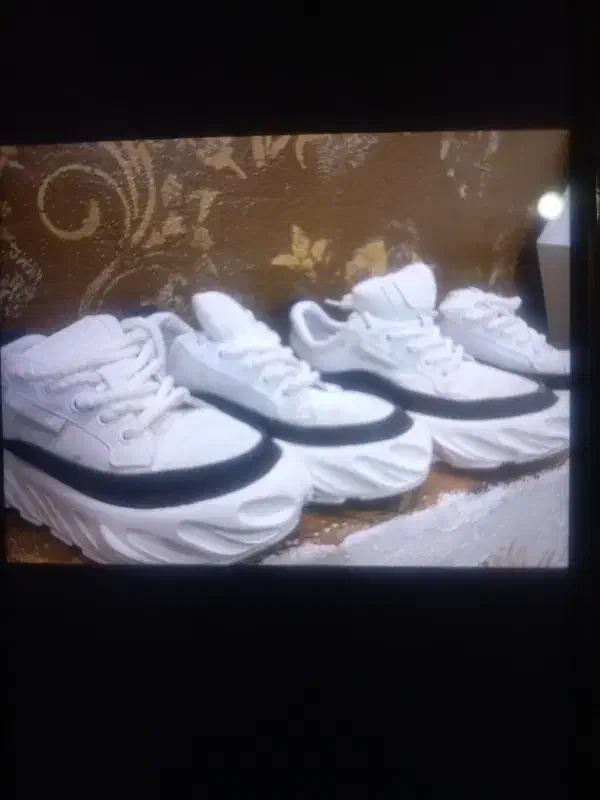 کفش مردانه|کیف، کفش، کمربند|برخوار, |دیوار