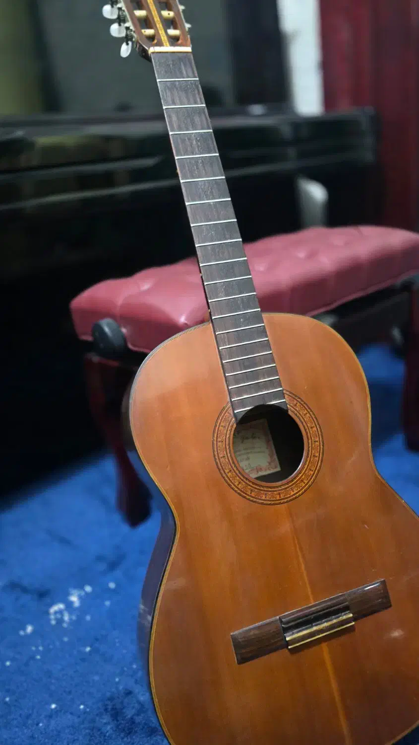 گیتار ژاپنی کمیاب صدای اصیل و بالغ چوبهای قدیمی|گیتار، بیس، امپلیفایر|اهواز, زیتون کارمندی|دیوار