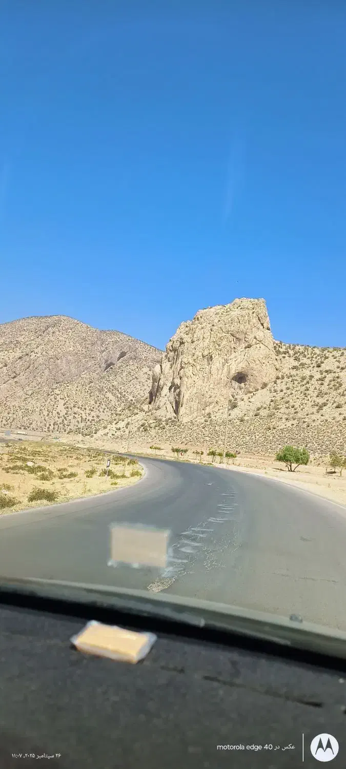 زمین کشاورزی|فروش دفتر صنعتی، کشاورزی، تجاری|گراش, |دیوار