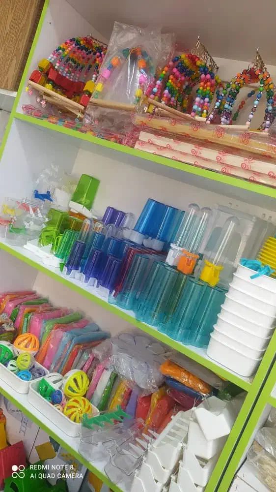 دان پرندگان زینتی مکمل دارو تقویتی قناری طوطی طیور|لوازم جانبی حیوانات|ابهر, |دیوار