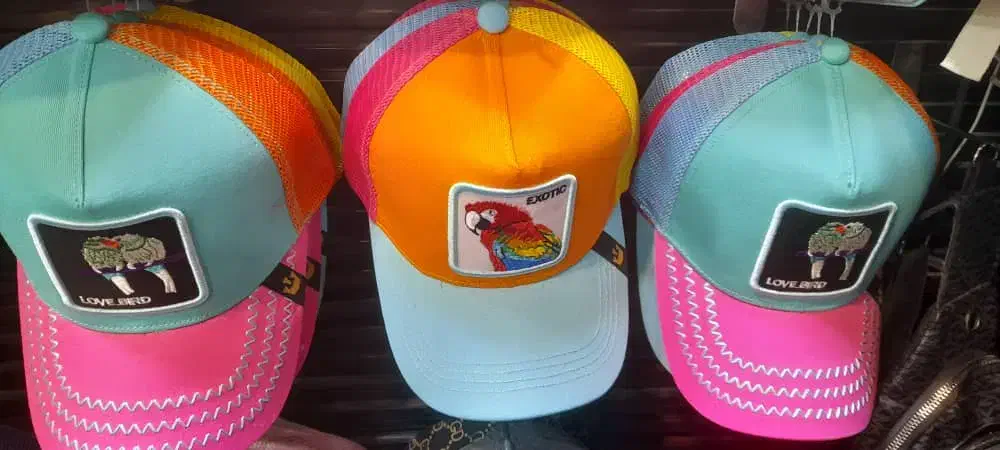 ۲۰ عروس هلندی جهت معاوضه با طوطی ملنگ|پرنده|ملارد, |دیوار