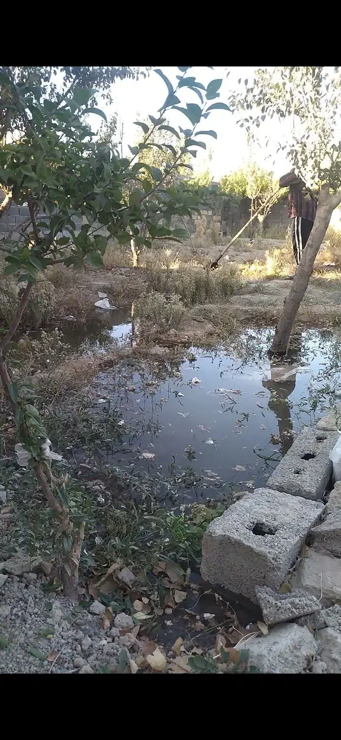 باغچه ۳۸۰متر چهاردیواری نصیرآباد شهریار|فروش دفتر صنعتی، کشاورزی، تجاری|باغستان, |دیوار