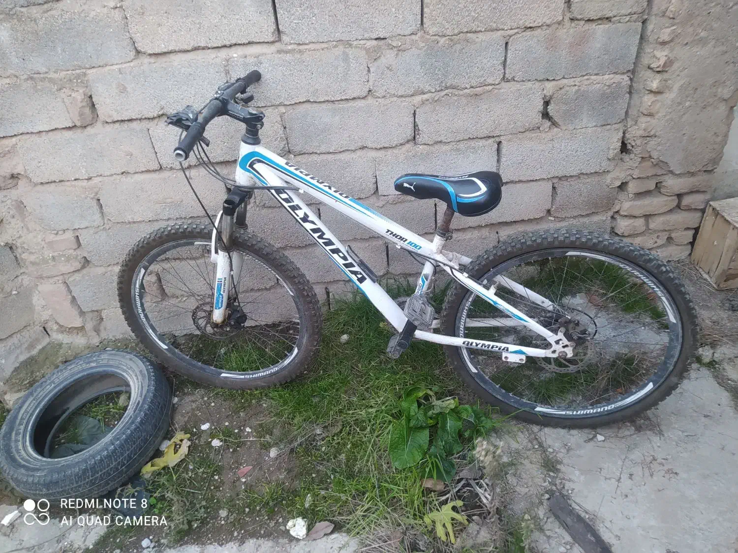 دوچرخه|دوچرخه، اسکیت، اسکوتر|گنبد کاووس, |دیوار