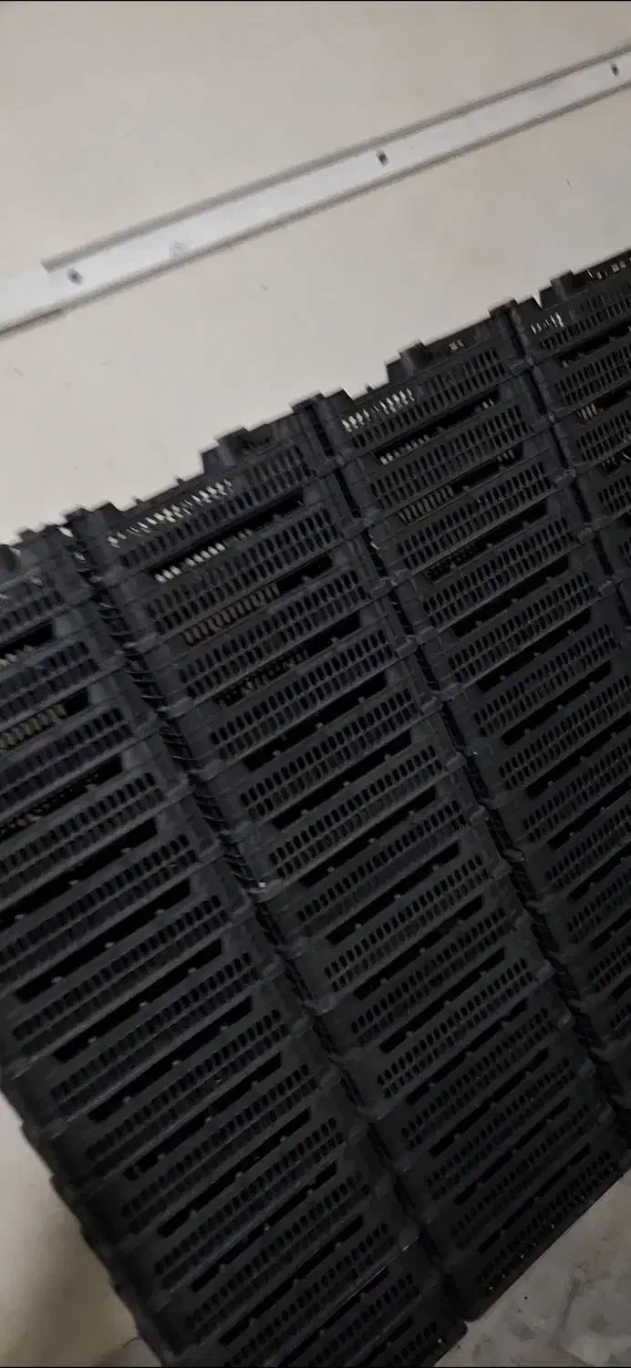 زغال کبابی|عمده‌فروشی|ایجرود, |دیوار