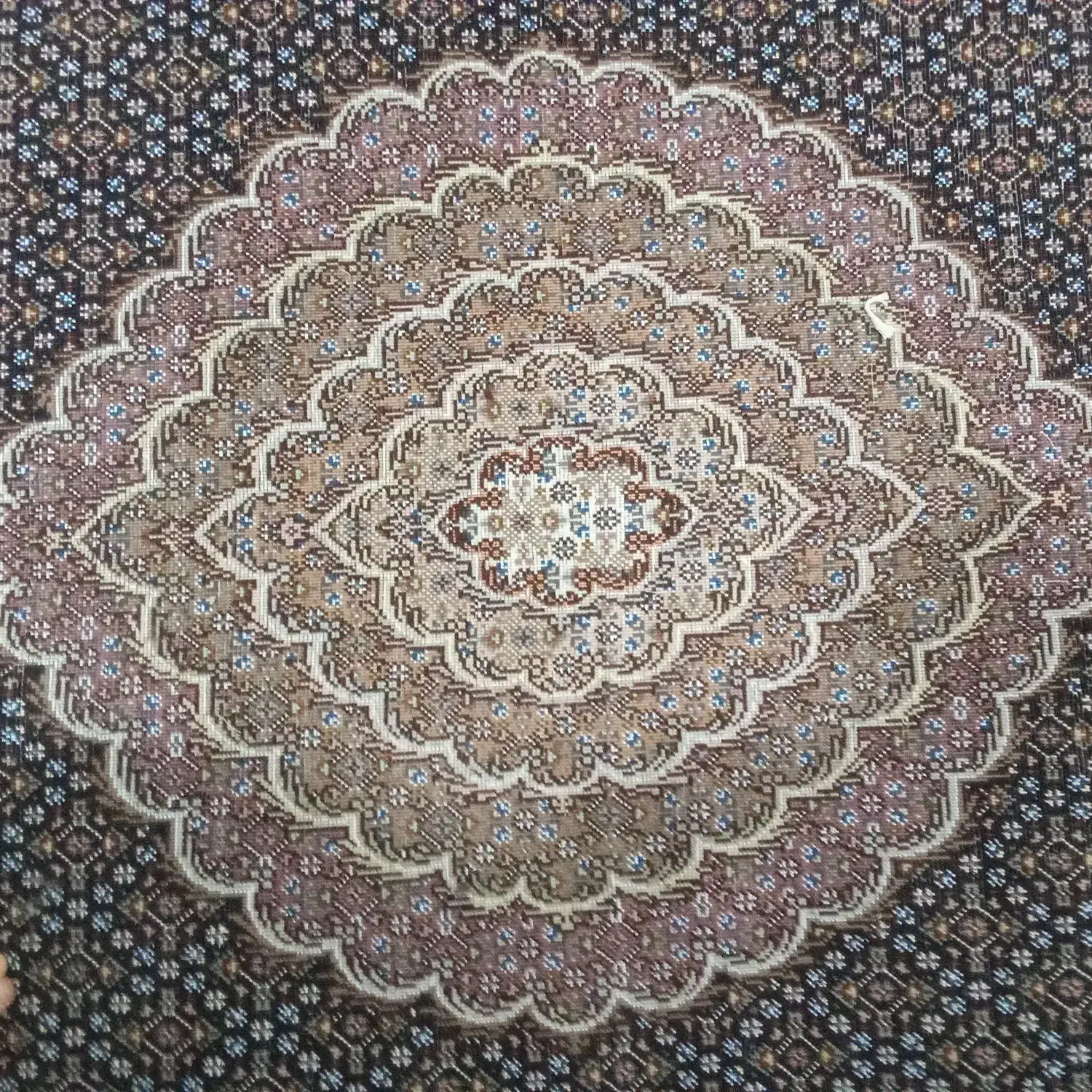 85000 تومان|فرش|صفائیه, |دیوار