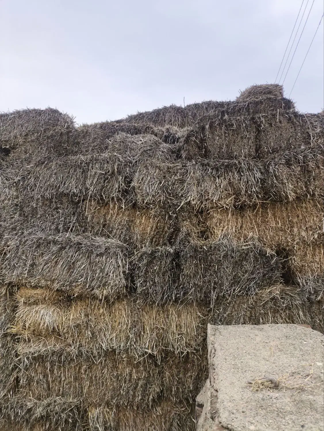 بسته کاه|لوازم جانبی حیوانات|شوط, |دیوار