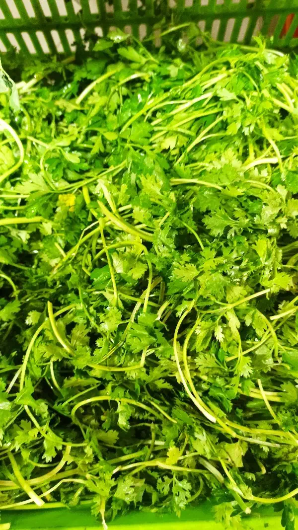 کارگر ساده برای سبزی خردکنی|استخدام خدمات فروشگاه و رستوران|تهران, اختیاریه|دیوار