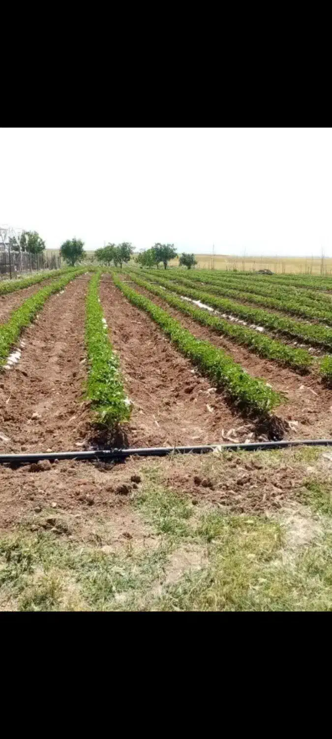 مجموعه مناسب سرمایه گذاری|فروش دفتر صنعتی، کشاورزی، تجاری|قیدار, |دیوار