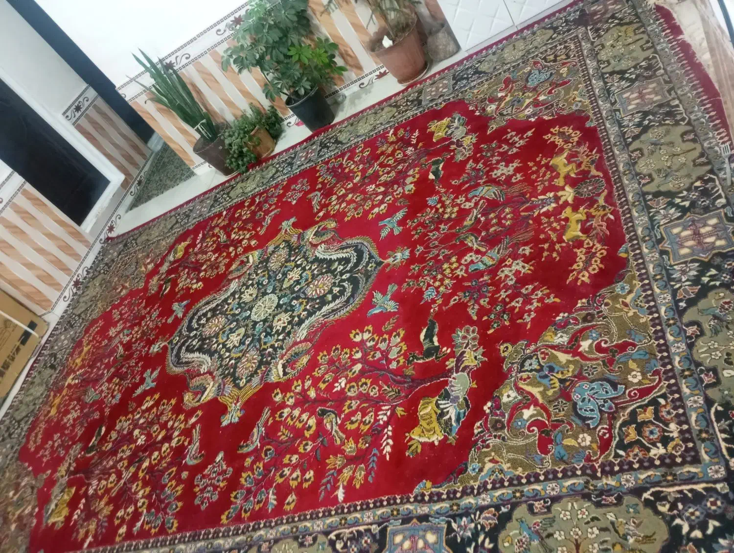 فرش|فرش|جوین, |دیوار