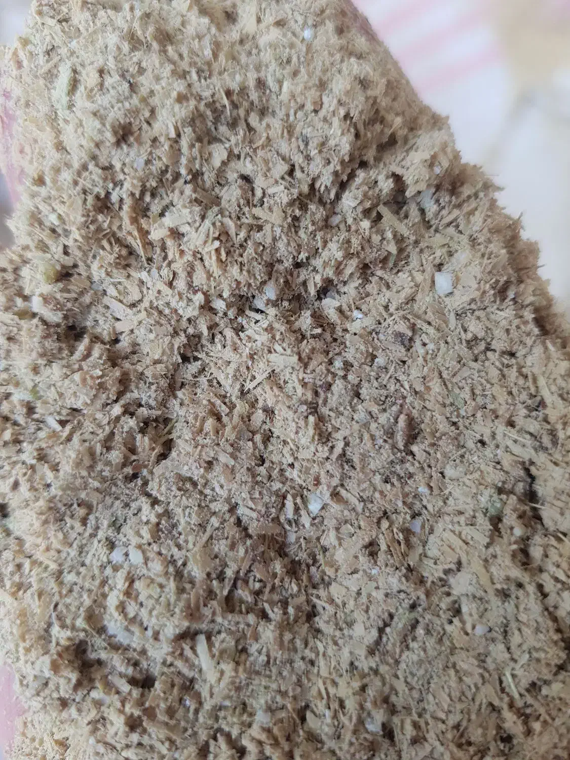 سبوس برنج تازه و طبیعی (مناسب انواع طیور)|حیوانات مزرعه|ری, فیروزآباد|دیوار