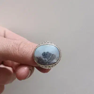 شجر|جواهرات|ساوه, |دیوار