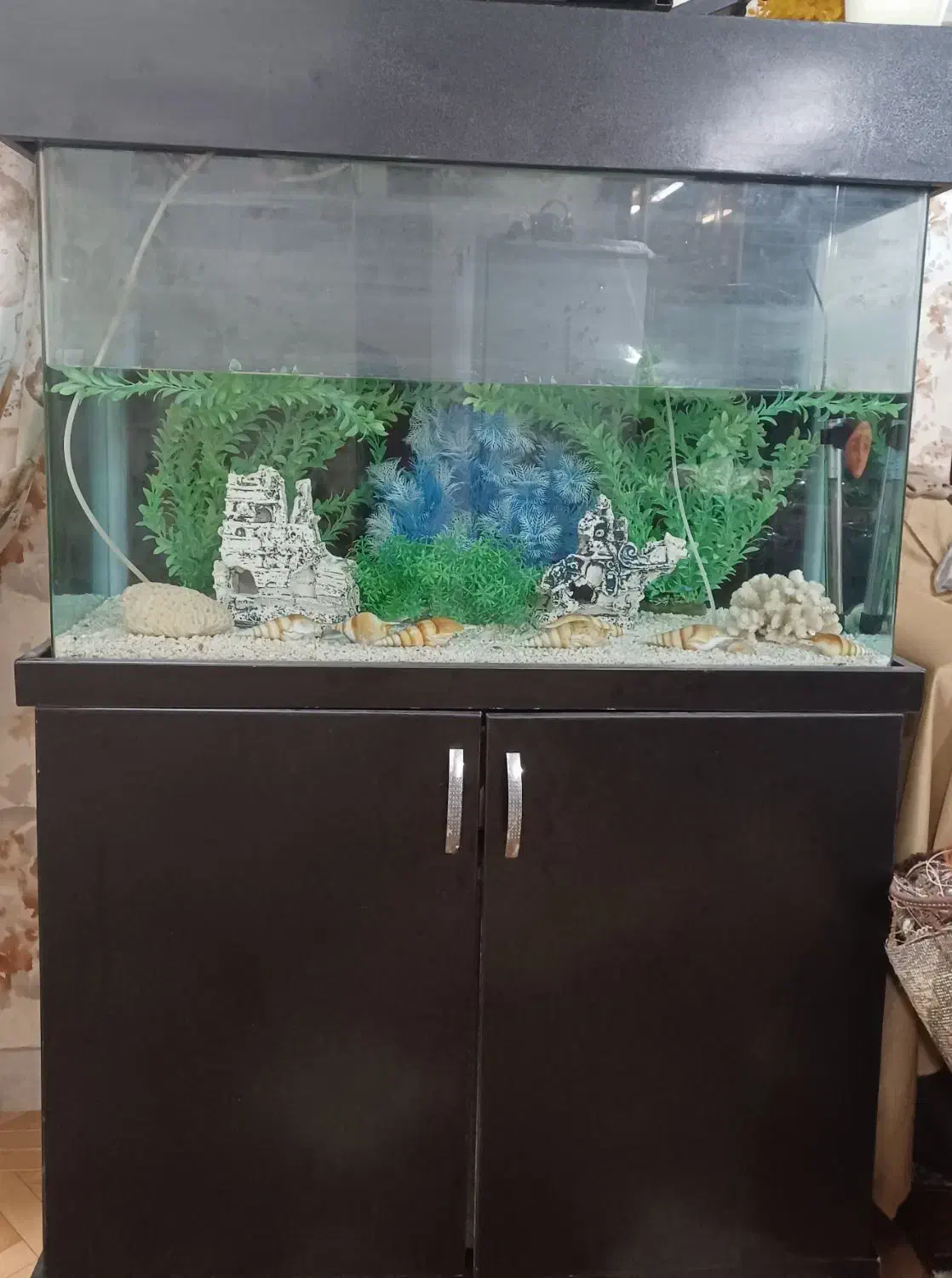 فروش آکواریوم|ماهی|فومن, |دیوار