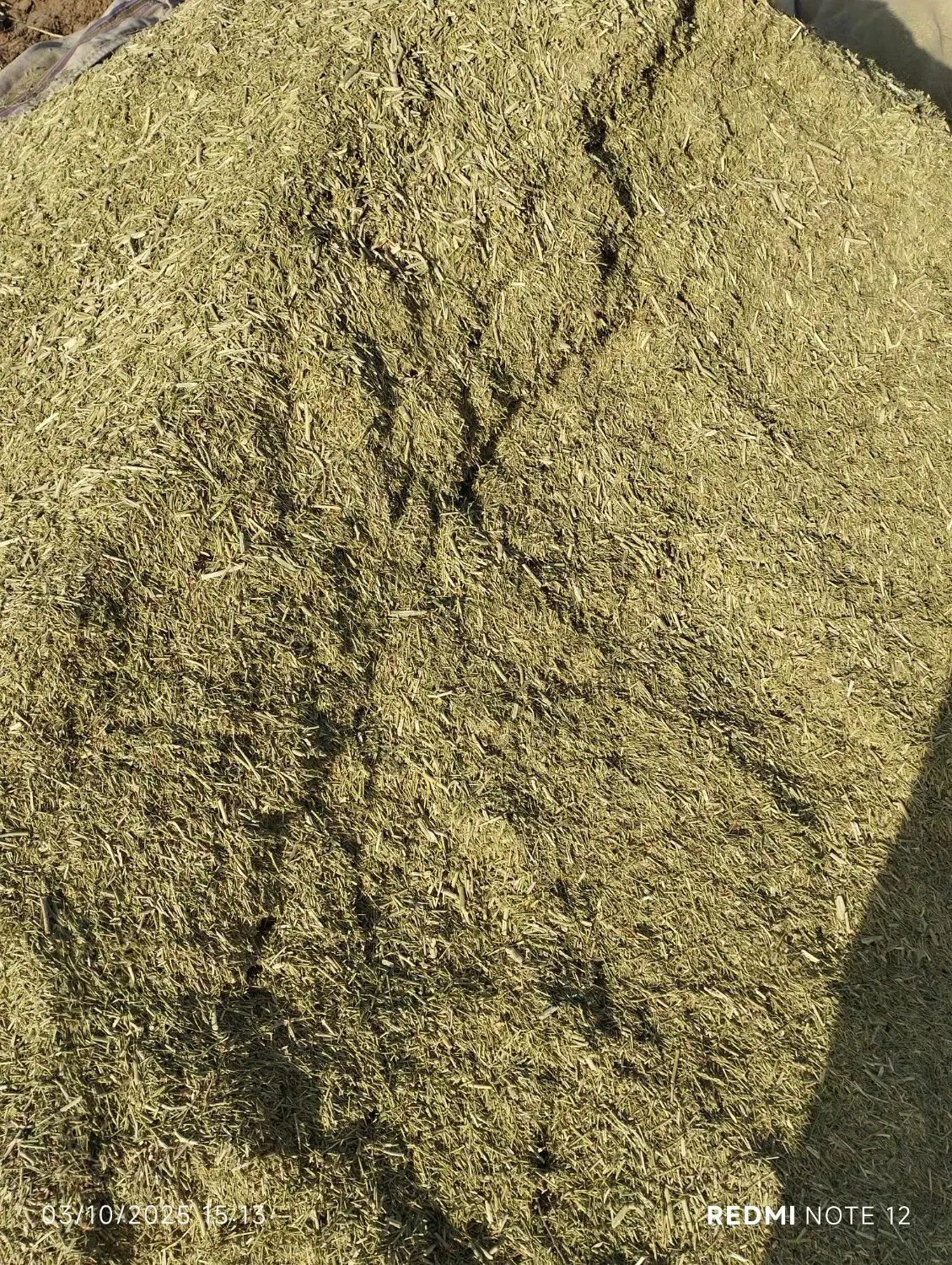 خار فروشی|حیوانات مزرعه|نصر آباد, |دیوار