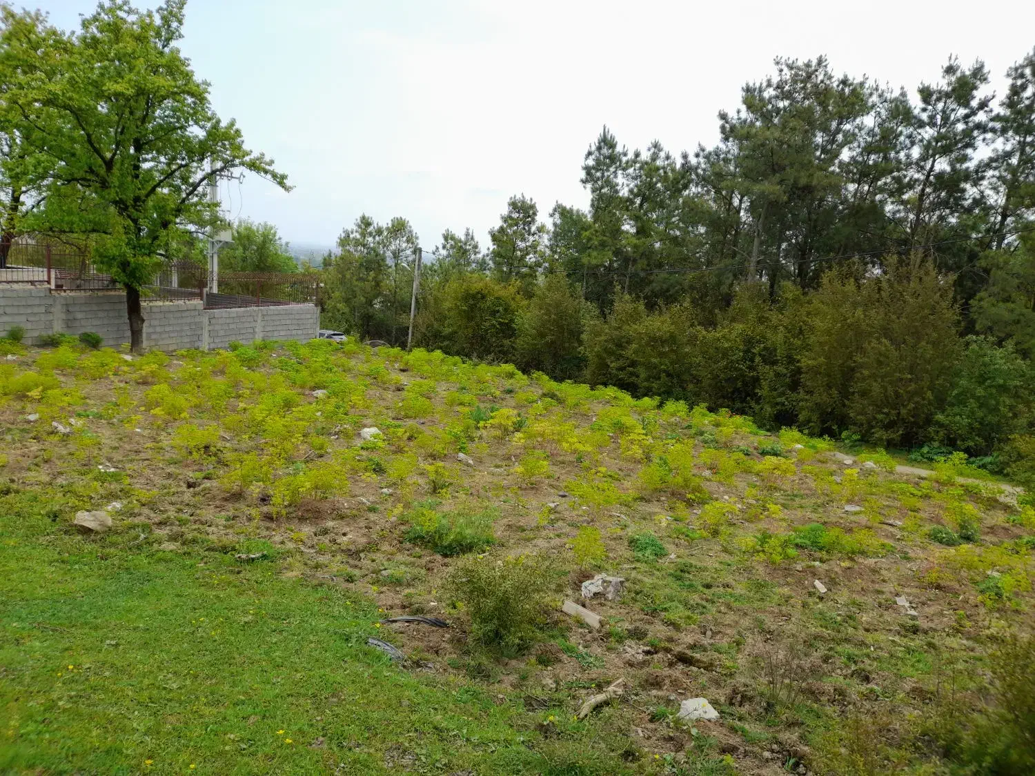 ۳۲۲مترزمین مسکونی سندششدانگ رودبارسرا|فروش زمین و ملک کلنگی|رضوانشهر, |دیوار