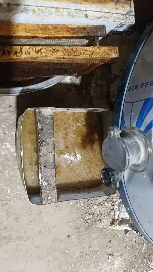 فروش عسل کُنار وگَوَن ارگانیک به صورت عمده و خرده|خوردنی و آشامیدنی|خفر, |دیوار