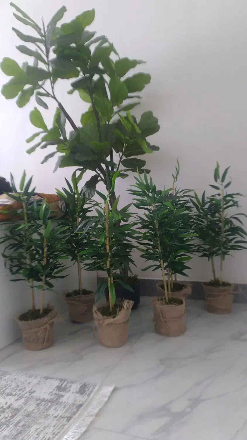 درختچه بامبو|گل مصنوعی|رشت, نظری|دیوار