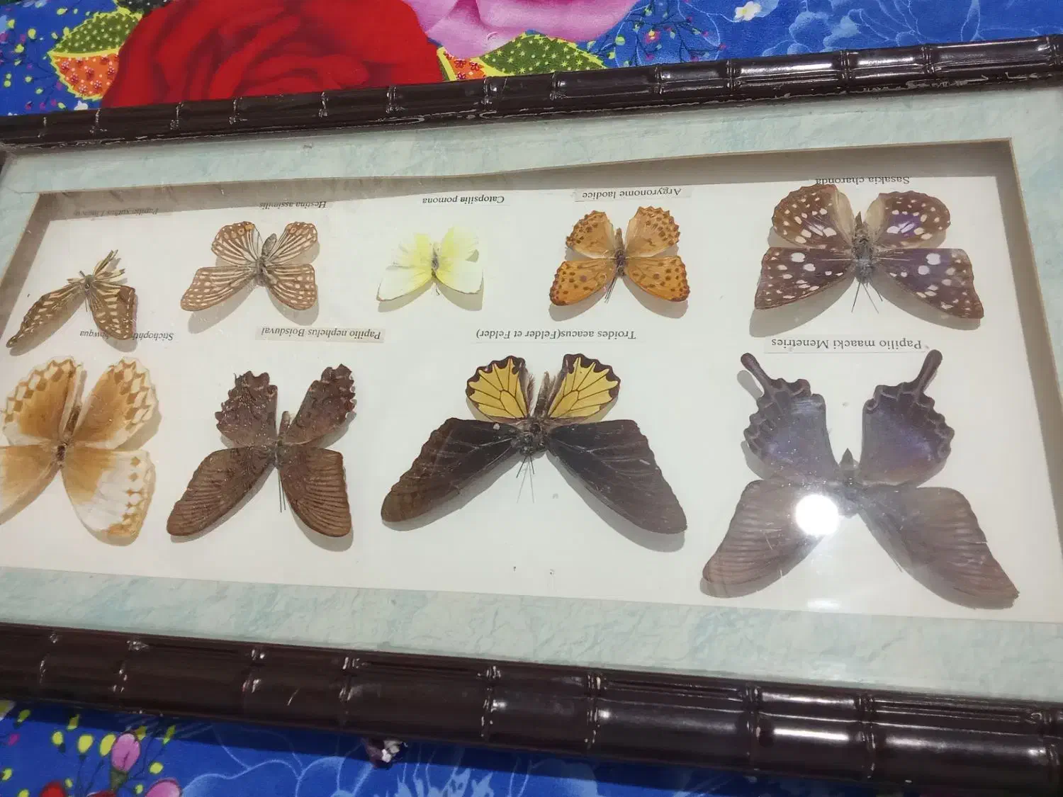 تابلو|تابلو، نقاشی، عکس|تهران, ولنجک|دیوار