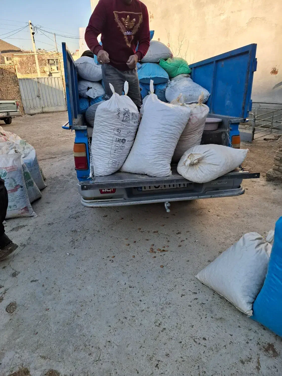 خریداربادام سنگی شاهرودی و غیر|خدمات باغبانی و درختکاری|نجفآباد, یزدانشهر|دیوار