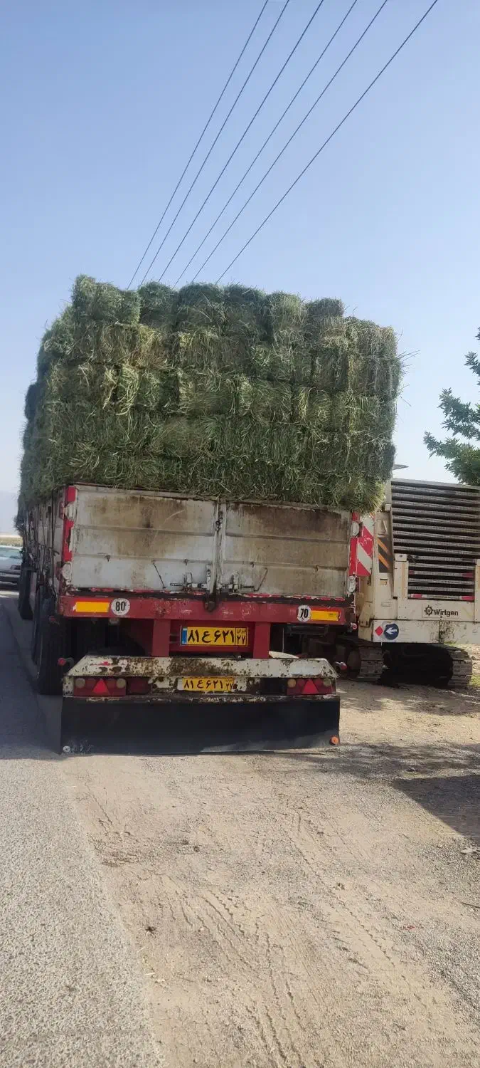 یونجه خشک انباری|عمده‌فروشی|شاهرود, |دیوار