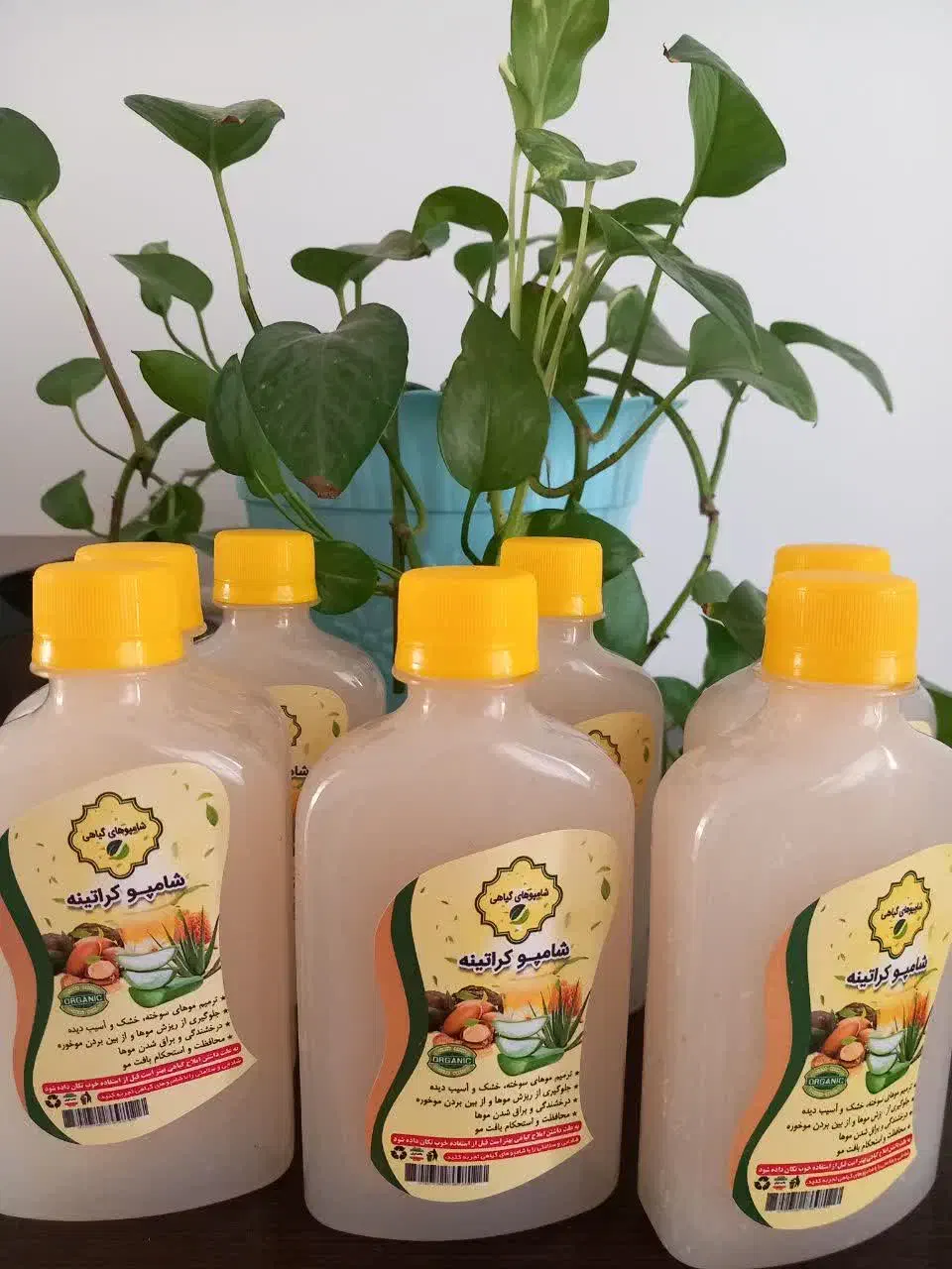 تولید کننده شامپو گیاهی|آرایشی، بهداشتی، درمانی|قم, باجک دو|دیوار