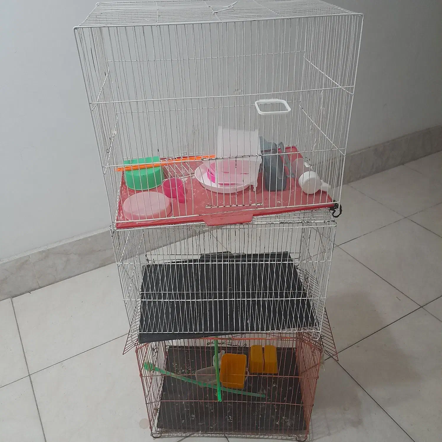 قفس|لوازم جانبی حیوانات|گلبهار, شهر جدید گلبهار|دیوار