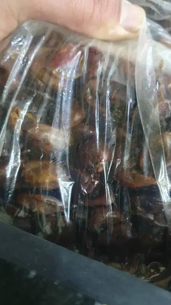خرمای بدون هسته و مویز|خوردنی و آشامیدنی|شیراز, ریشمک|دیوار