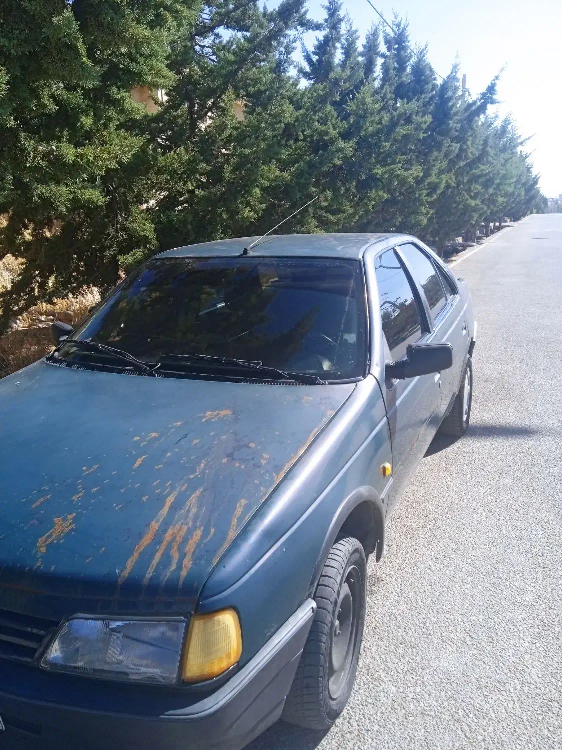 فروش پژو اردی 84|خودرو سواری و وانت|صدرا-فارس, فاز ۱|دیوار