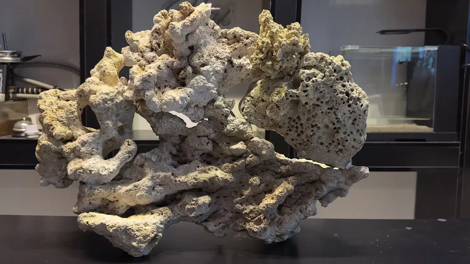 لایوراک|ماهی|تهران, آسمان|دیوار