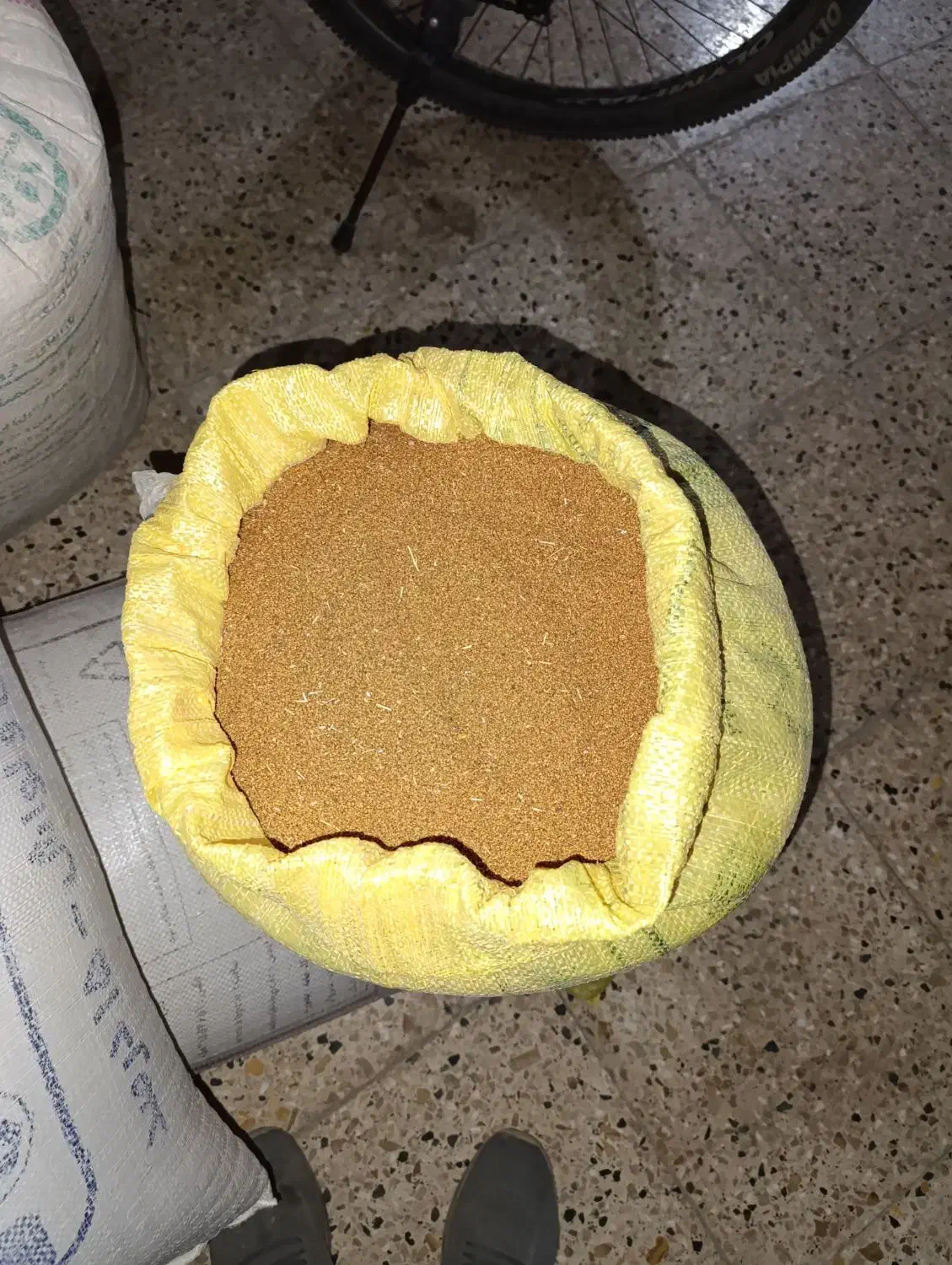 بذر کاملینا|خدمات باغبانی و درختکاری|آشخانه, |دیوار