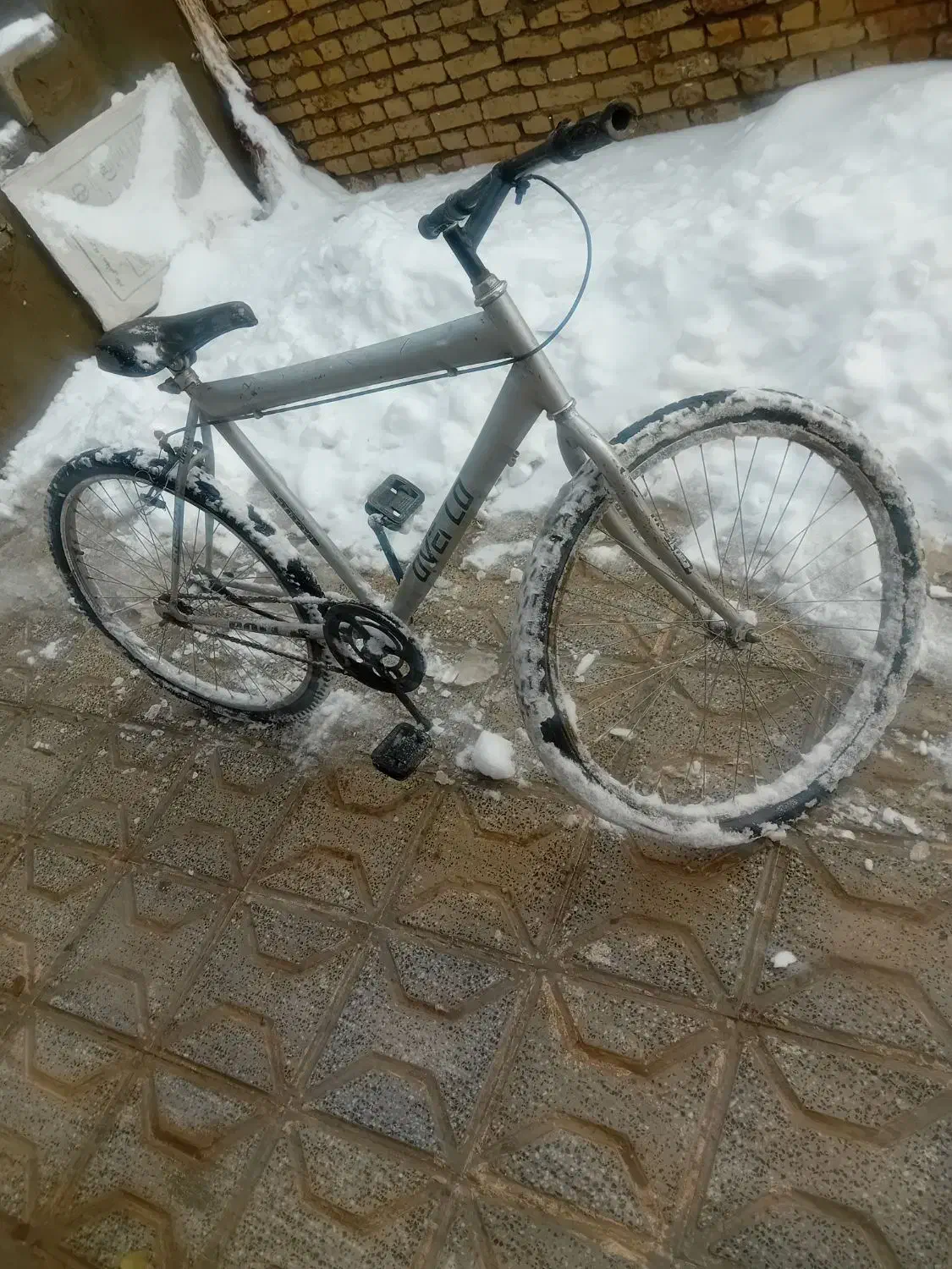 دوچرخه|دوچرخه، اسکیت، اسکوتر|تربت‌حیدریه, بالا ولایت|دیوار