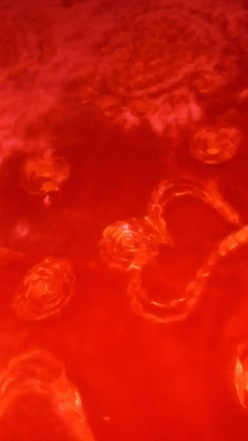 پتو|رختخواب، بالش، پتو|فردیس, منظریه|دیوار